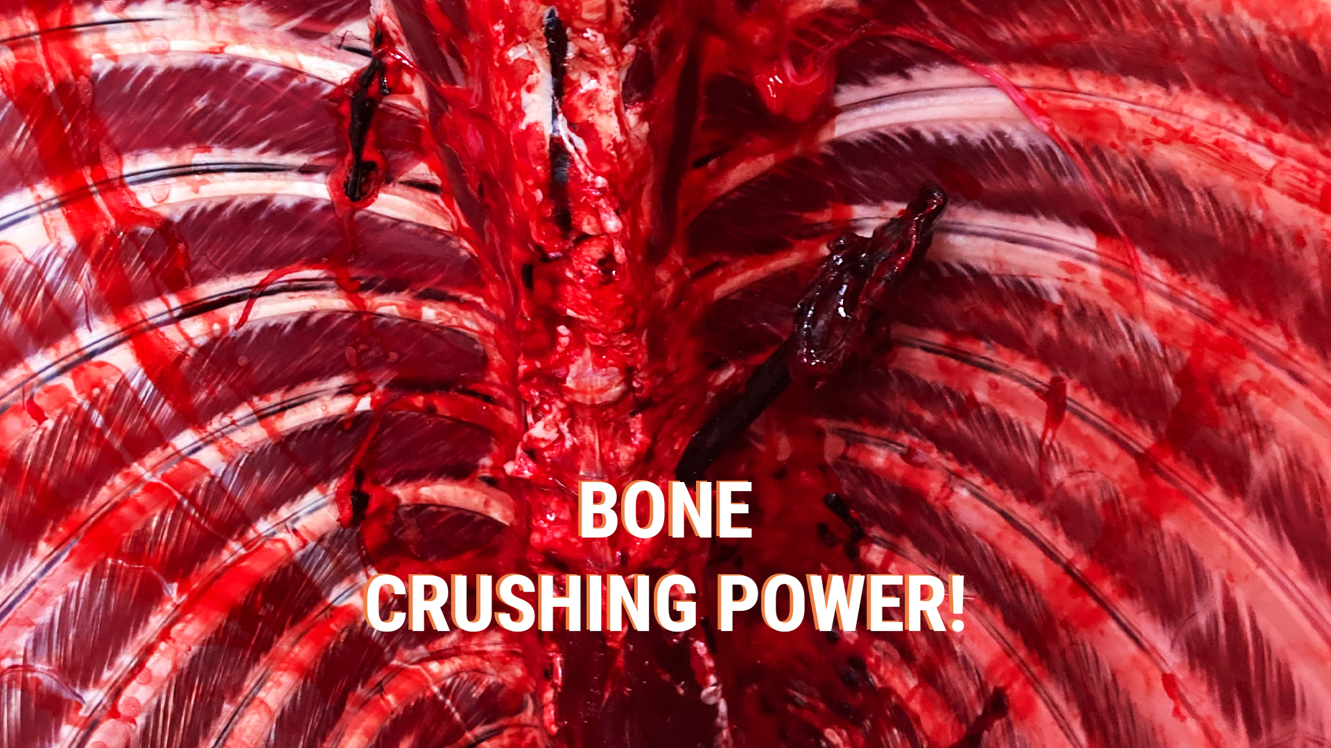 Bone Crushing Power